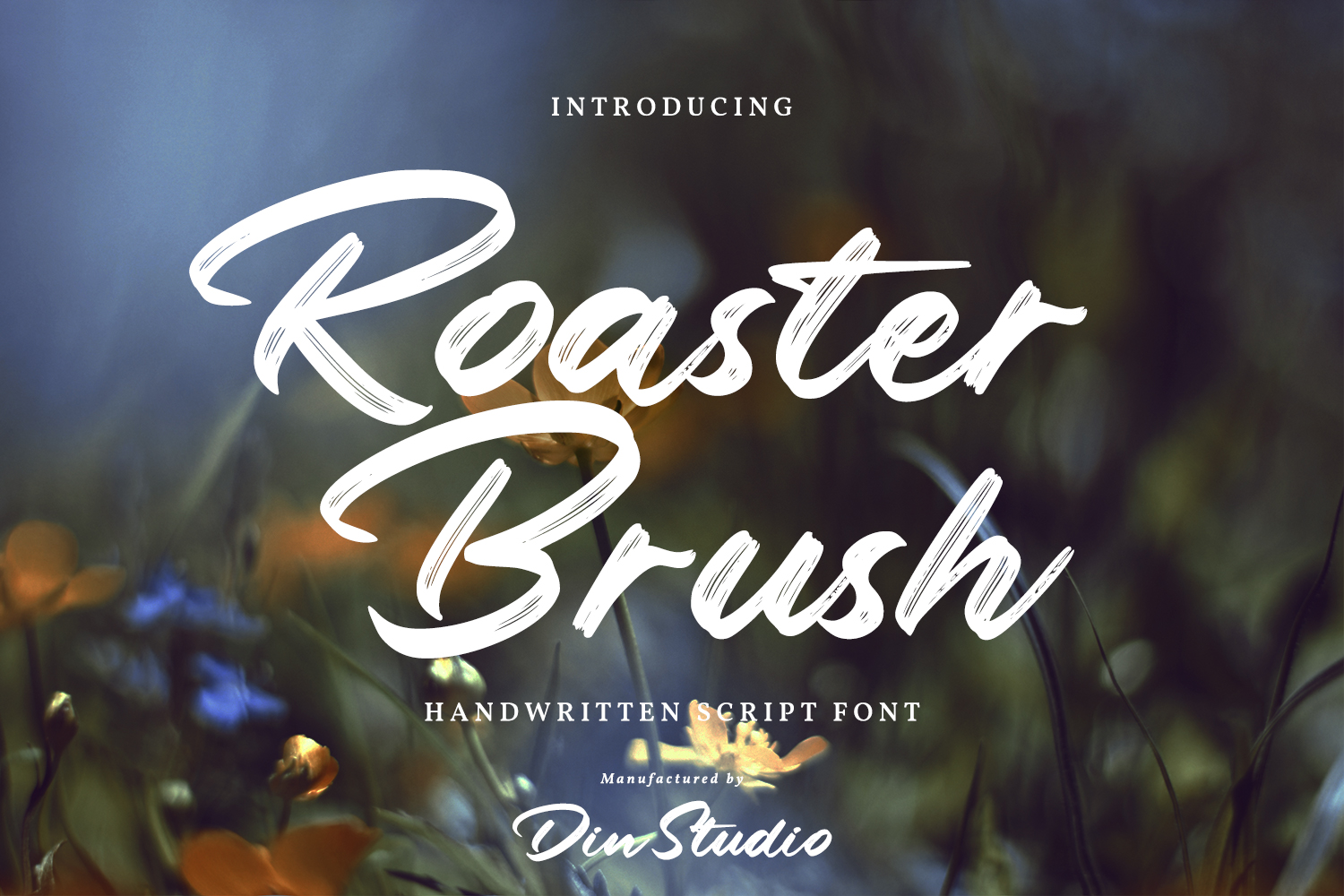 Roaster Brush Font - Download Roaster Brush Font Free & Premium