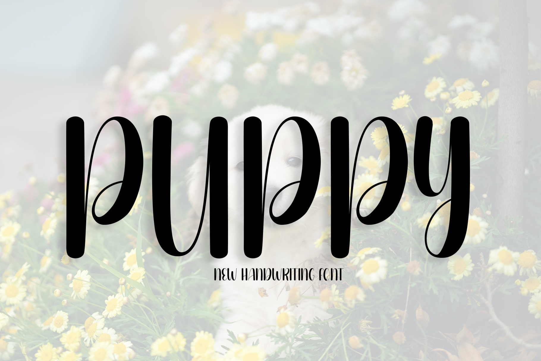 puppy-font-download-puppy-font-free-premium