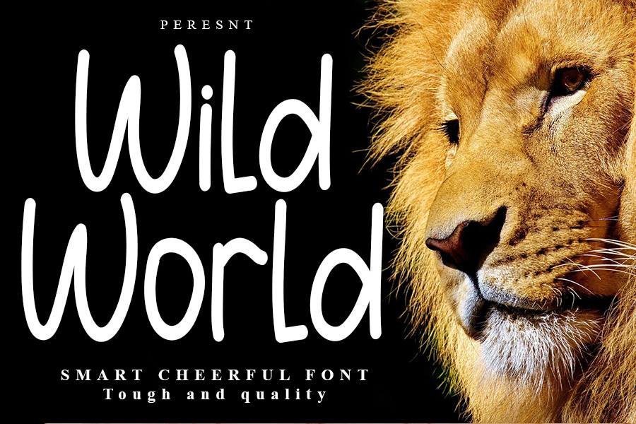 Wild World Font Download Free - Business Fonts