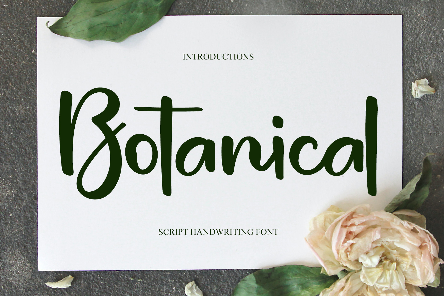 Botanical Font Download Free - Wedding Fonts