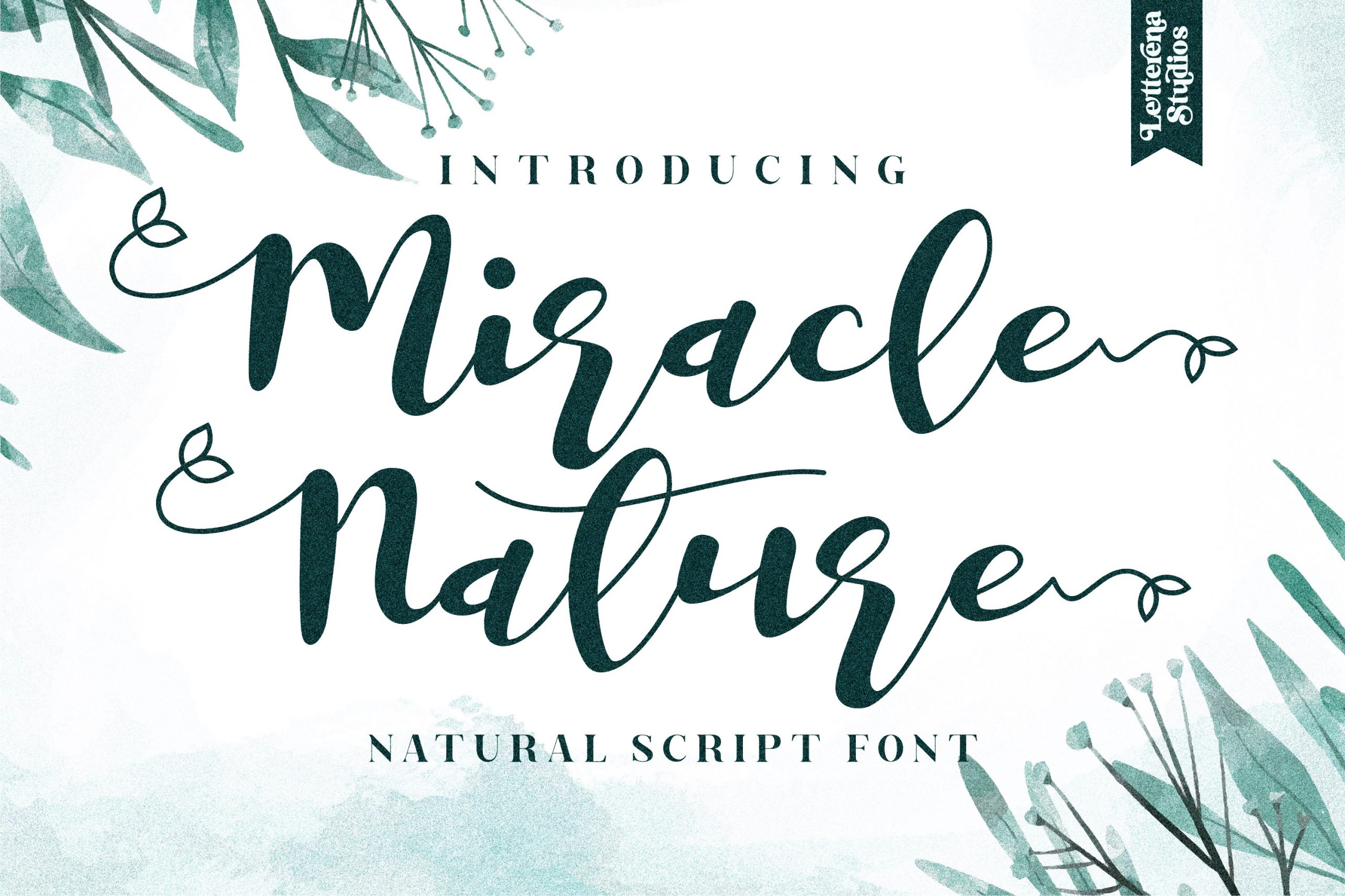 Miracle Nature Font Download Free - Love Fonts