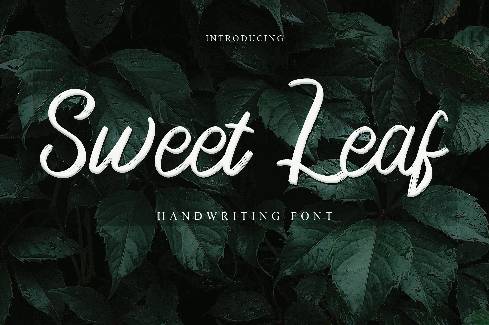 Sweet Leaf Font Download Free - Love Fonts